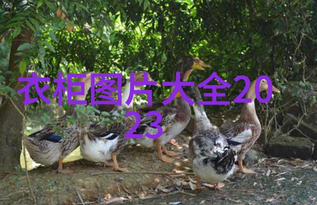 笑傲江湖OL-江湖笑语OL时代的武林传说