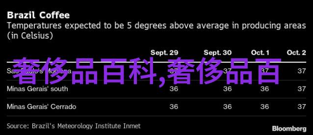 倾心不怕晚追逐梦想的不懈步伐