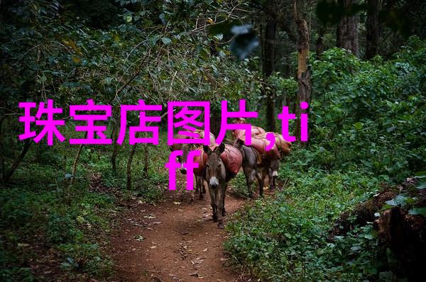 西装之美剖析经典风格与时尚趋势