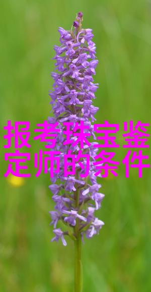 如何利用手机拍摄高质量的家庭用品和厨房设备照