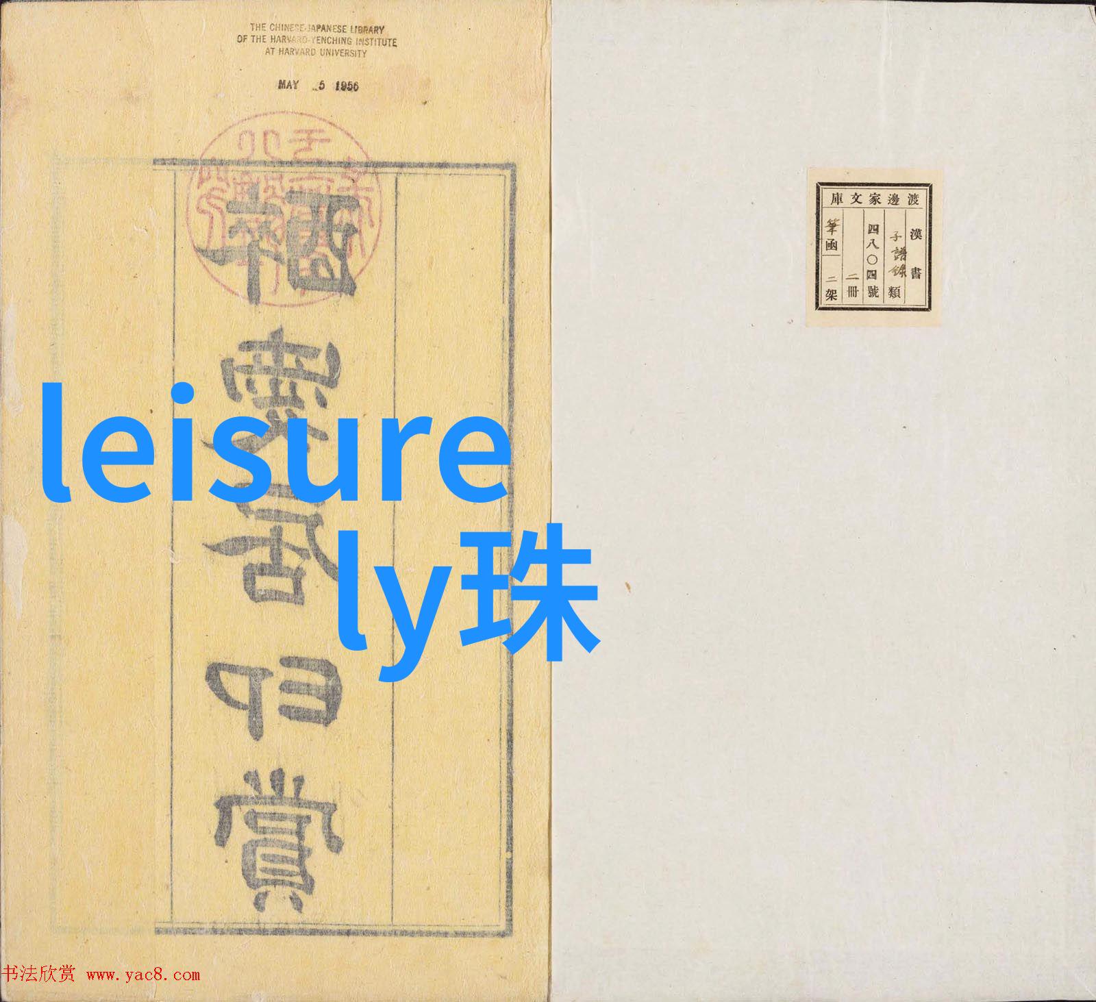 眼镜的智慧透视生活美学