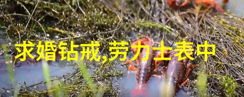 16 18岁之间女生发型我是怎么找到最适合我的发型的