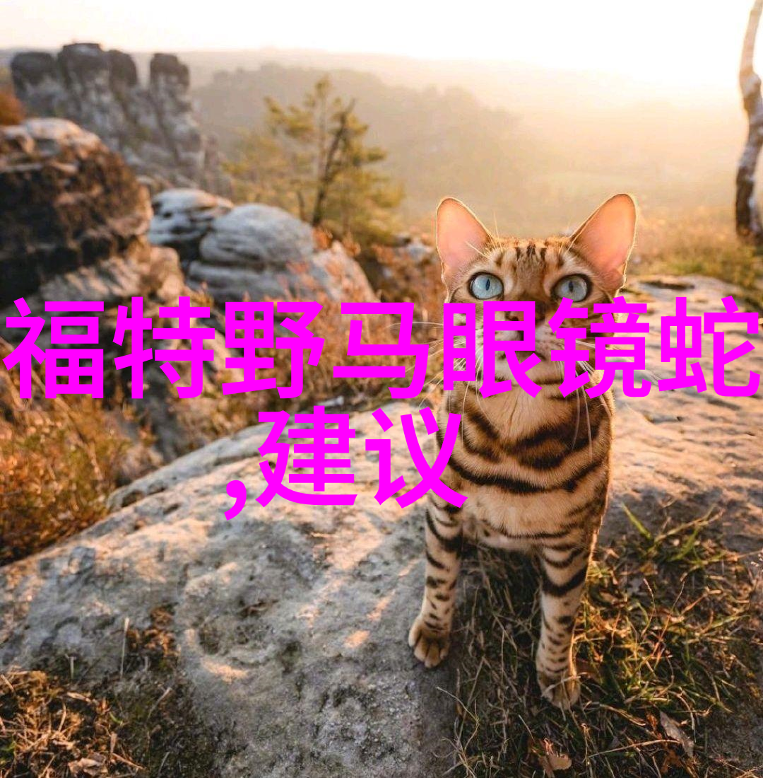 水鬼的数字战役