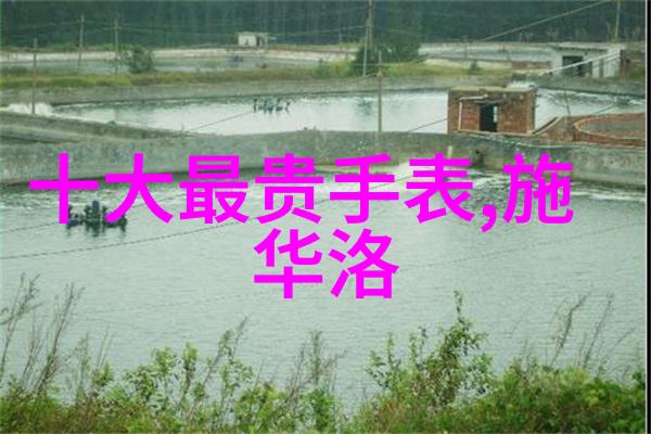 学会未来美发中国十大学校的创新实践