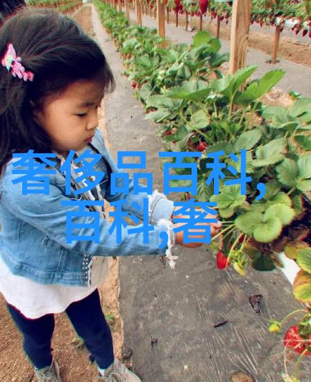 一个上面吃一个下吃视频我是怎么在家就能做出这样好看的美食教程