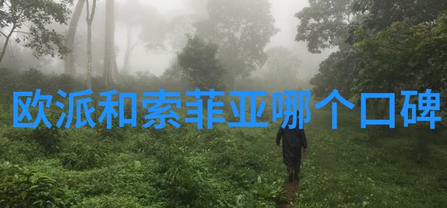 儿童近视问题解析蔡司镜片适用性与选择建议