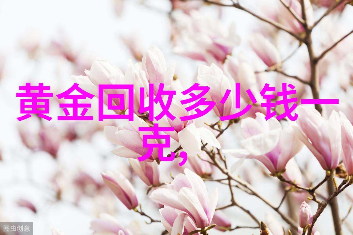 探索培罗蒙古特种兵的秘密训练过程
