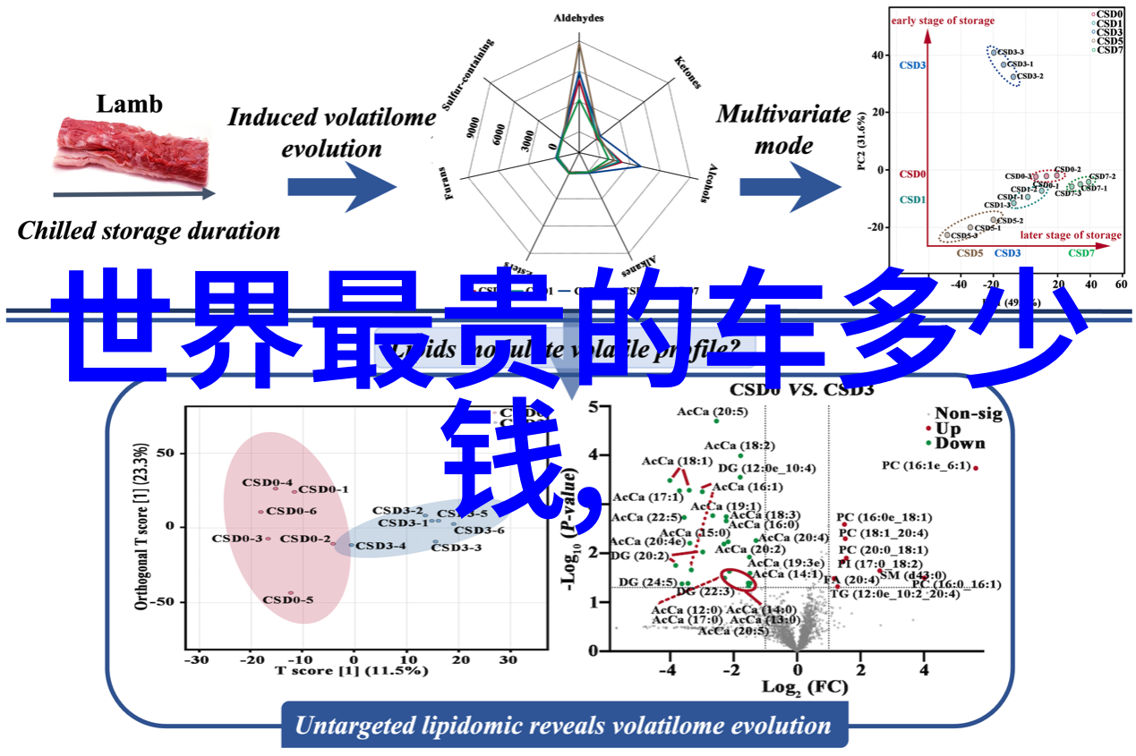 理发课程 - 剪刀手的艺术探索理发课程的魅力