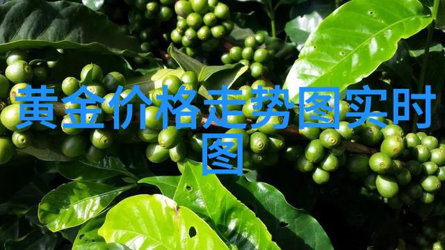 公交车乘坐遭遇延误2小时长时间视频播放事件