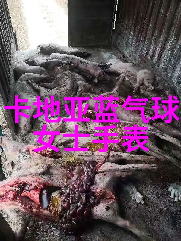 双肩包女背起生活的重擎