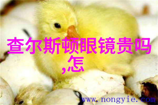 Dg官网数字天堂官方网站