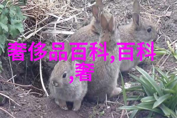 香水瓶里的孕育秘密能用香水吗有哪些孕妇专属的香调