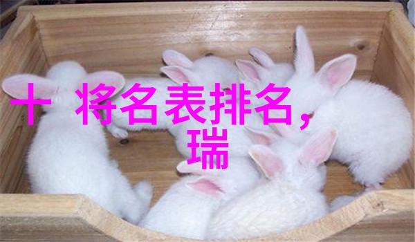 我于世间无敌我的战斗不需要理由