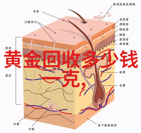 情人节送男朋友什么礼物-浪漫心意礼物选择指南