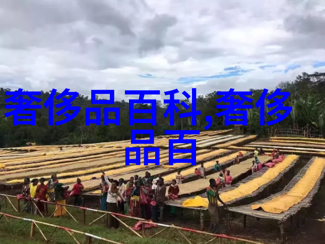 浪琴表风采古尊表致敬三大国之重器深圳盛宴登场