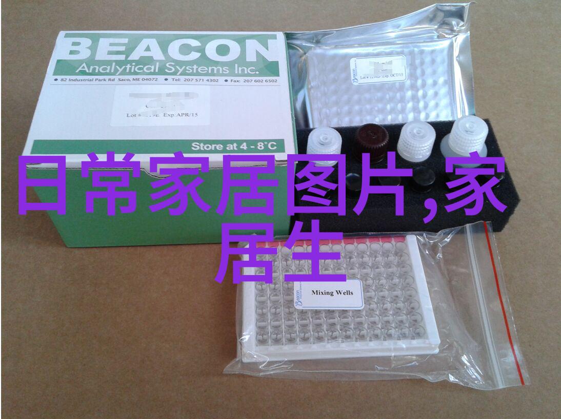 种子加速器未来农业技术的种子
