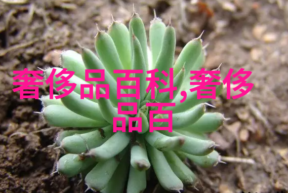 还在为装修墙面钻孔而苦恼么免打孔置物架美观收纳从这里开始