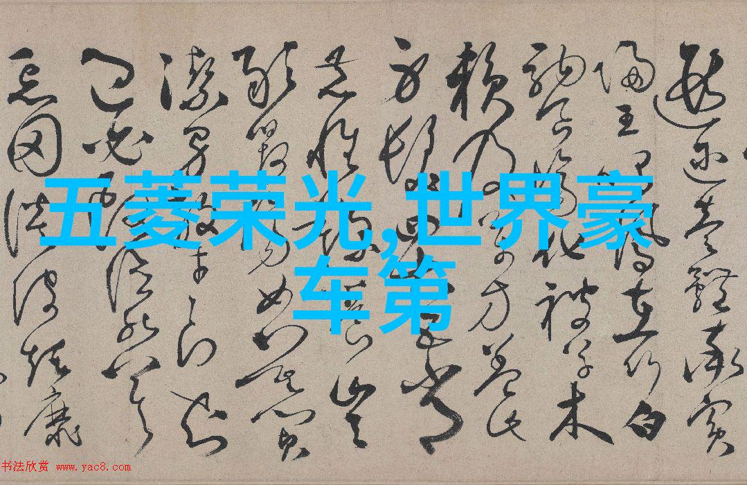 全美超模朴秀成长启示录十八岁PUXIU的社会历程