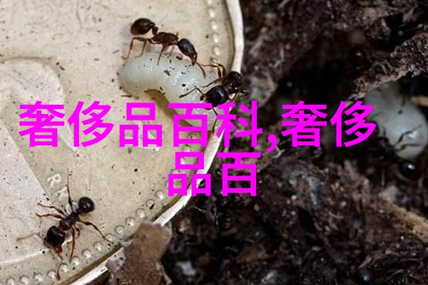 短发魔力如何通过简约发型让女性减龄显气质