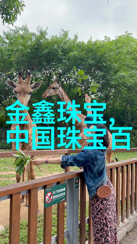 聂小雨3分25的音乐世界