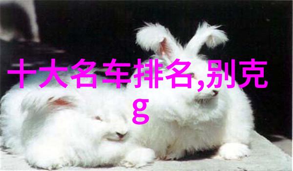 圆脸特征下哪些发型能显得更加洋气