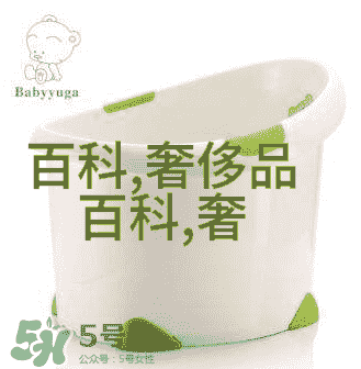 主题我和艾莱依的故事从陌生人到最好的朋友