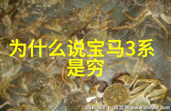 时尚未来2022年最新发型的艺术探索