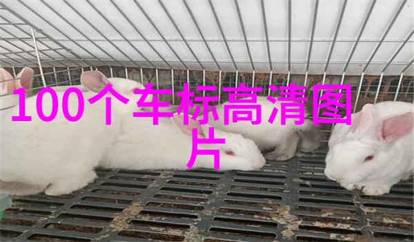 曼卡龙四叶草的守护者打破单调的秘密花园