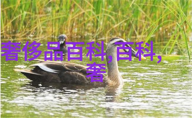 劳力士女款腕表全图官网价格星战系列达斯-维德限量款上市