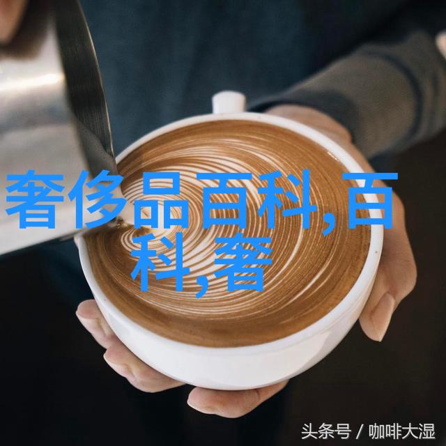 新手上路不怕基础女装搭配教程一站式解答你的疑惑