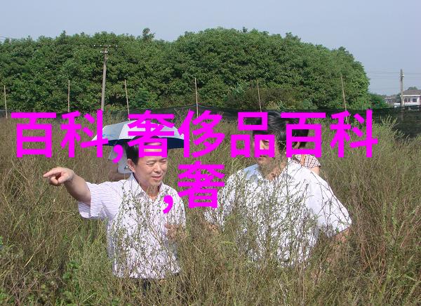 50岁女人适合什么发型好看-中年美女的时尚之选适合50岁女性的流行发型