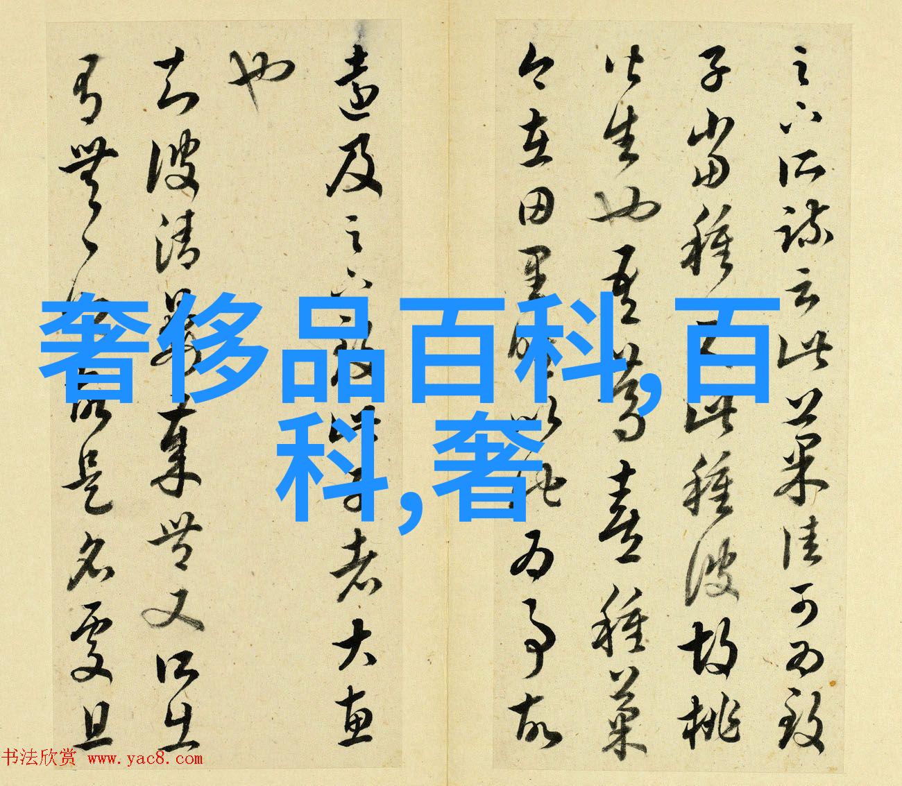 2023年最火的短发造型精选最新流行趋势