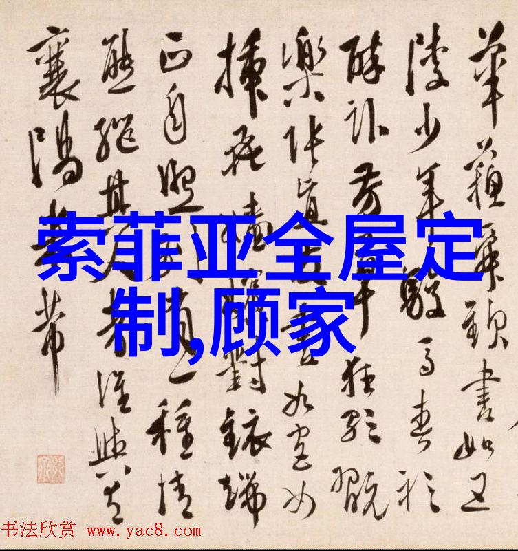 433体育数字时代的体育视界