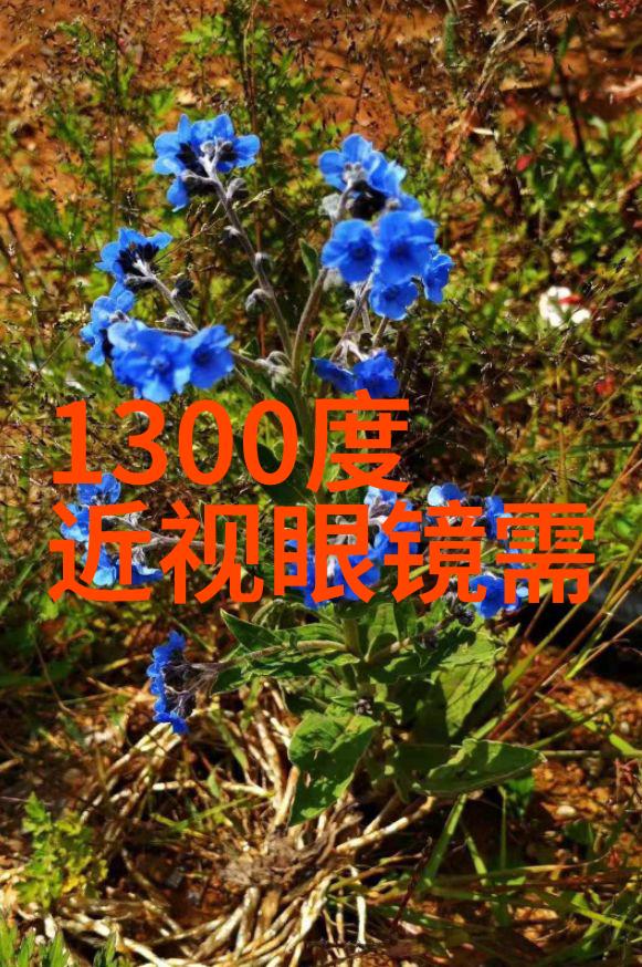 男生怎样选择适合自己的裤子颜色
