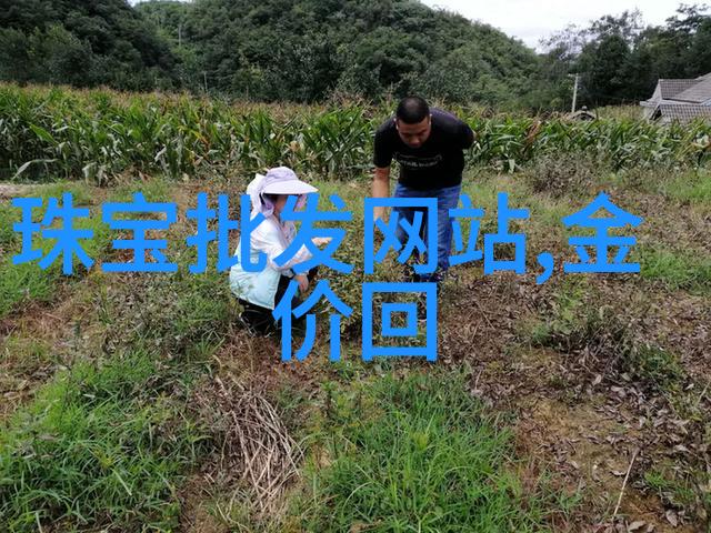 主题我是如何用chic cam拍出时尚照的
