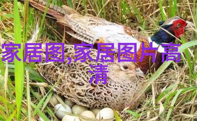 追逐野性揭秘最佳野王的诞生与传说