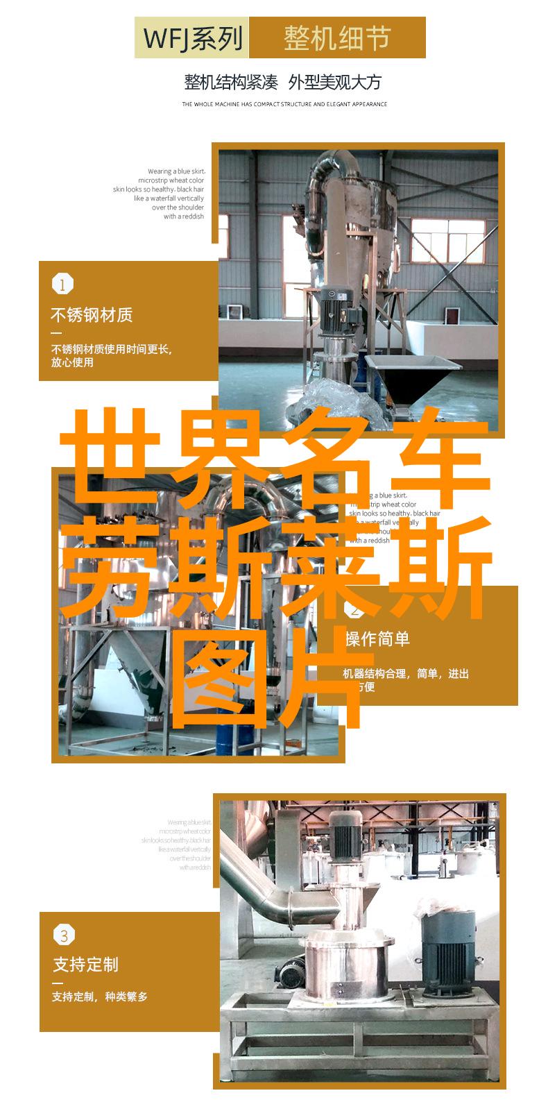 时光之猫穿越回忆的尾巴