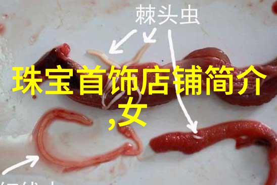 华语电影的光辉时刻48届金马奖的荣耀回顾