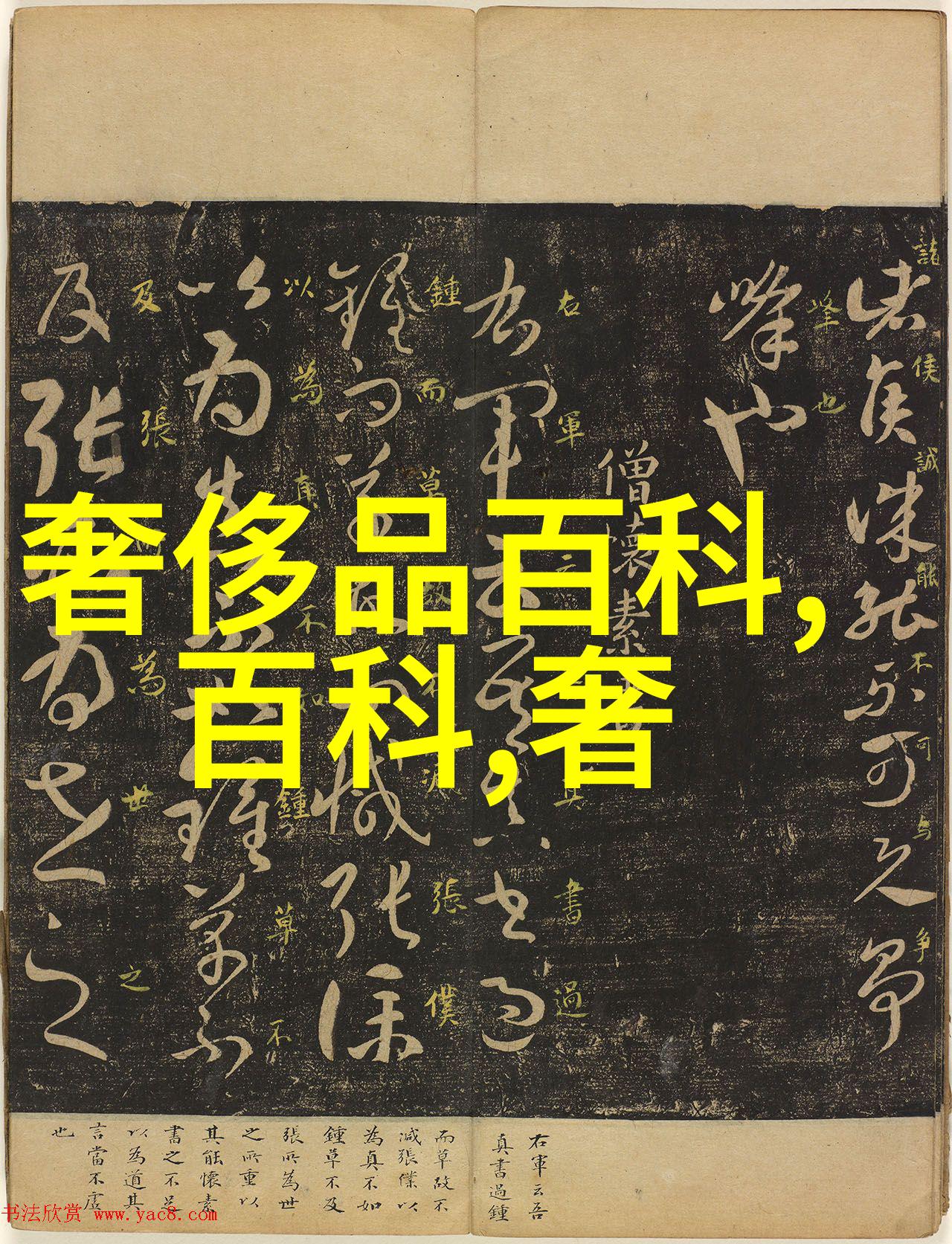 安知我意心灵深处的默契交响