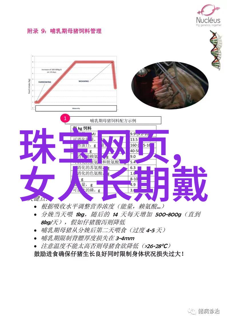 学理发基础技巧入门指南
