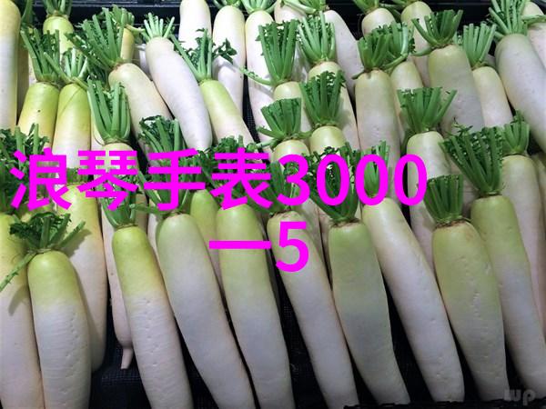 时尚配饰-女式包包的魅力从日常到晚宴的完美选择