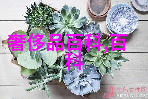 香水中的秘密一场关于爱与记忆的诡异追踪