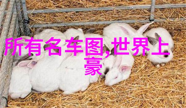 学长的棒棒背后的故事与前方的梦想