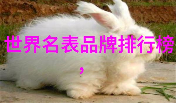 全屋定制的智慧之选全友如何完美融合个性与生活空间