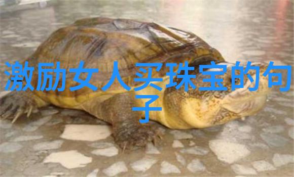 武侠经典-倚天屠龙记之江湖绝唱张翠山的遗憾与师徒情深