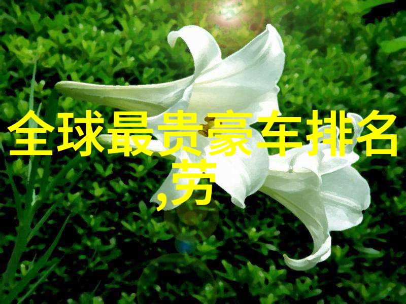 初学者必备简单气质编发技巧解析