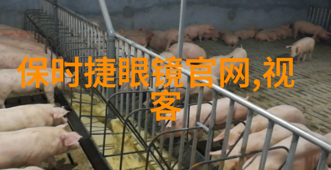 西舅的故事东岑家族的秘密