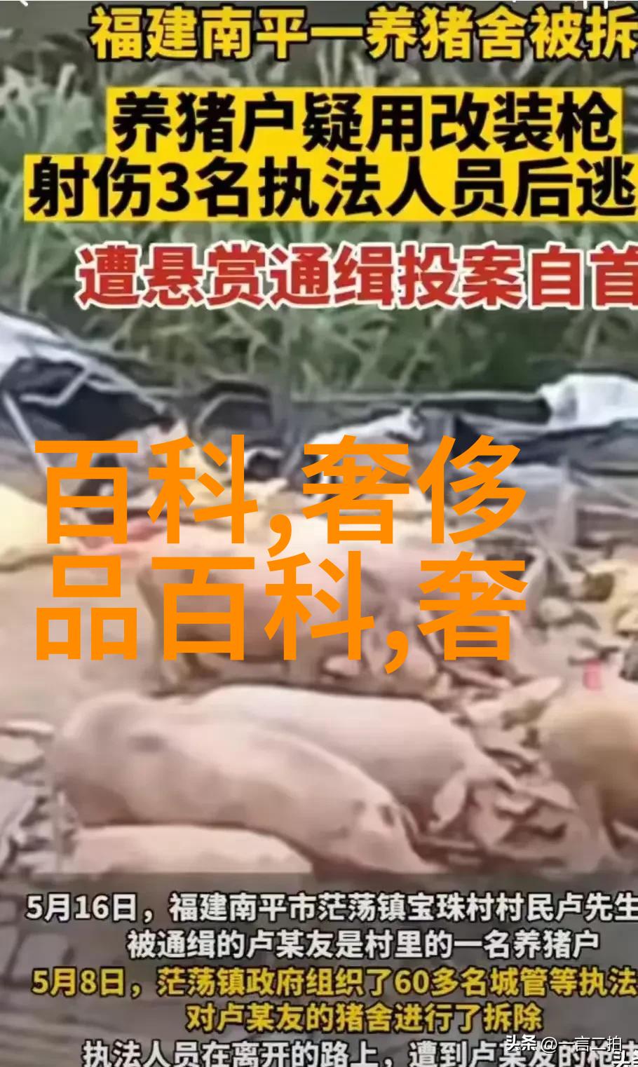 新春焕发轻盈时尚的2023年女孩减龄短发潮流