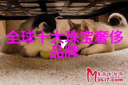 眼镜市场官网我是如何在网上找到了完美的眼镜款式