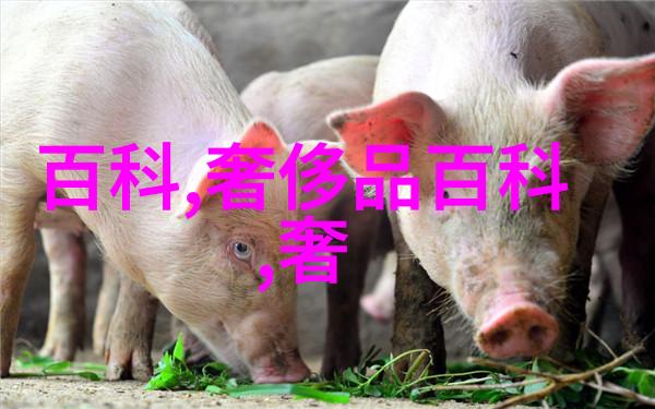 时尚达人男士穿搭的艺术探索